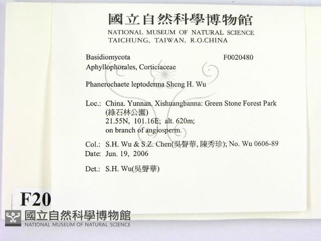 登錄號:F0020480藏品圖，第2張
