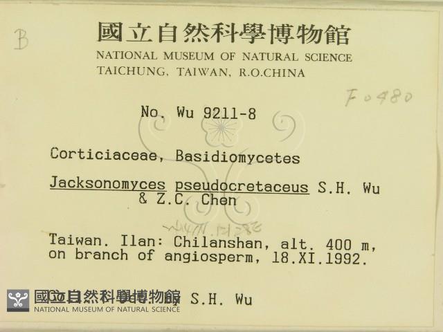 登錄號:F0000480藏品圖，第2張