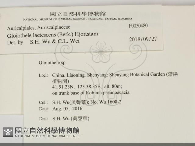 登錄號:F0030480藏品圖，第2張