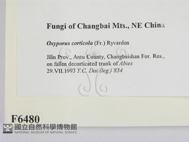 登錄號:F0006480藏品圖，第2張