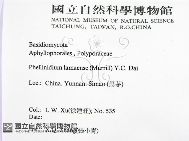 登錄號:F0016480藏品圖，第2張