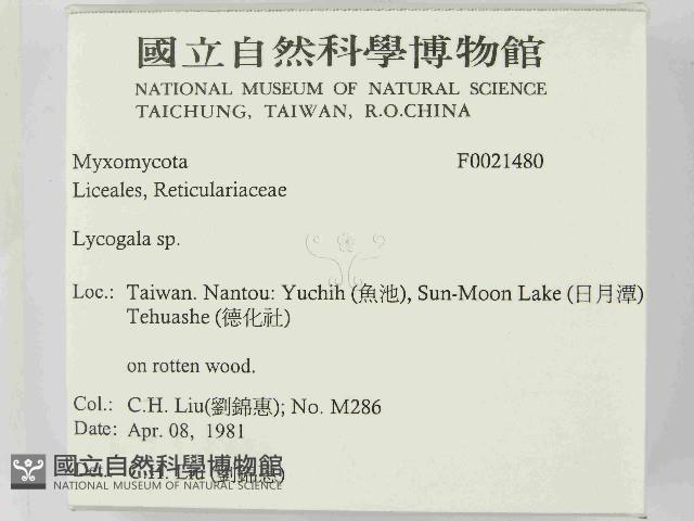 登錄號:F0021480藏品圖，第2張