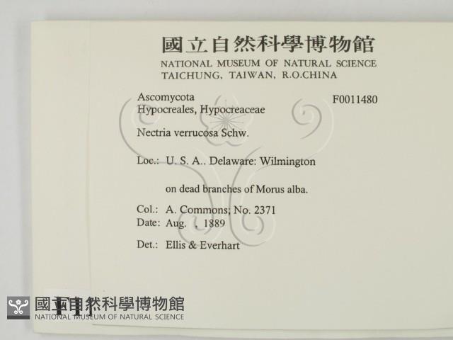 登錄號:F0011480藏品圖，第2張