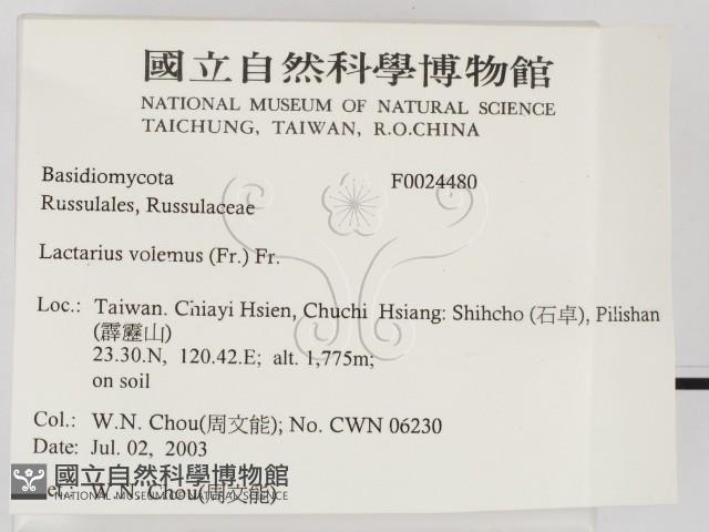 登錄號:F0024480藏品圖，第2張