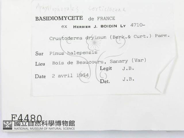 登錄號:F0004480藏品圖，第2張