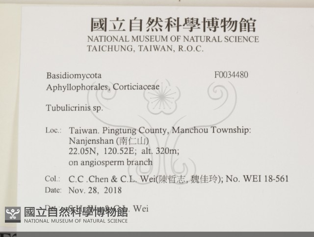 登錄號:F0034480藏品圖，第2張