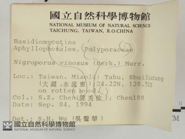 登錄號:F0002480藏品圖，第2張