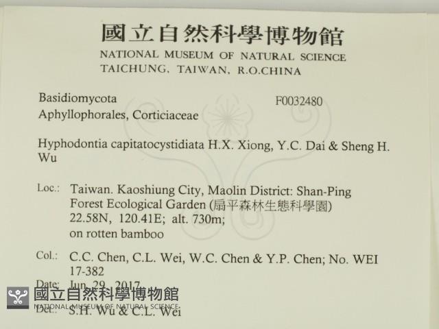 登錄號:F0032480藏品圖，第2張