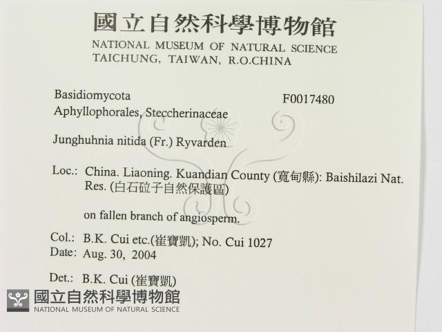 登錄號:F0017480藏品圖，第2張