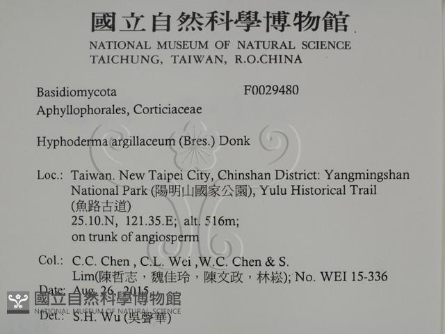 登錄號:F0029480藏品圖，第2張