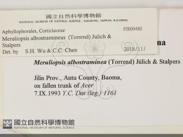 館號:F0009480藏品圖，第2張