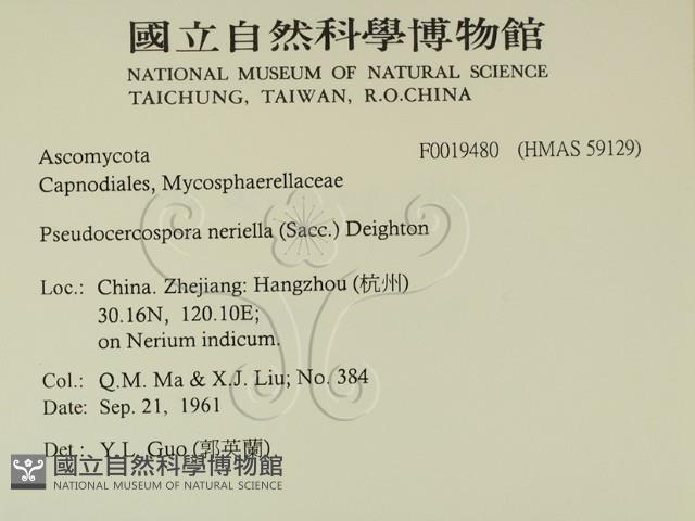 登錄號:F0019480藏品圖，第2張