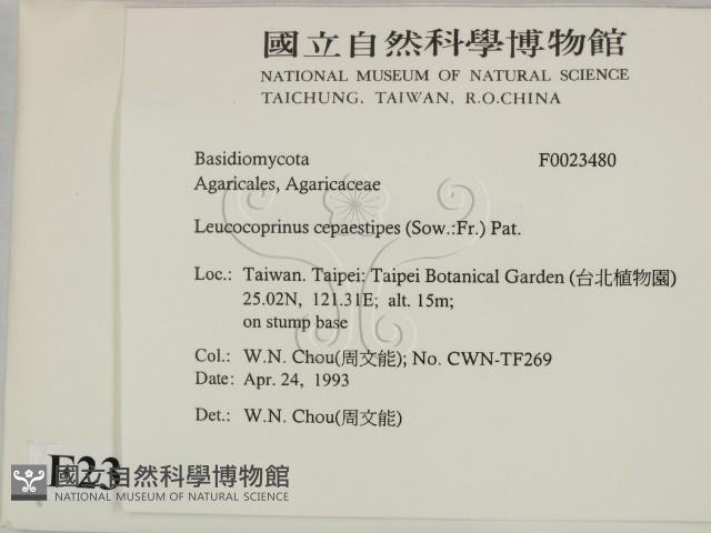 登錄號:F0023480藏品圖，第2張