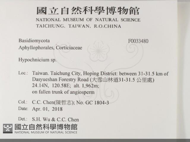 登錄號:F0033480藏品圖，第2張