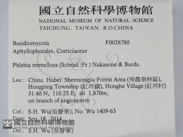 登錄號:F0028780藏品圖，第2張