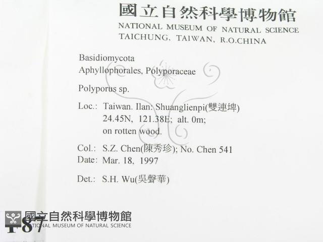 多孔菌屬藏品圖，第2張