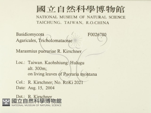 登錄號:F0026780藏品圖，第2張