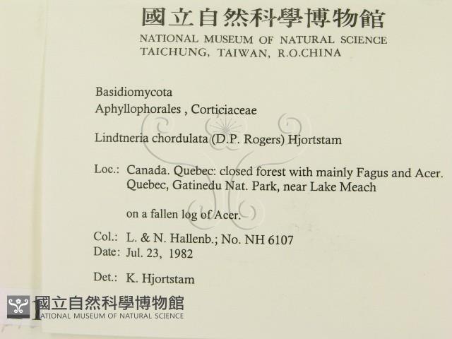 登錄號:F0016780藏品圖，第2張