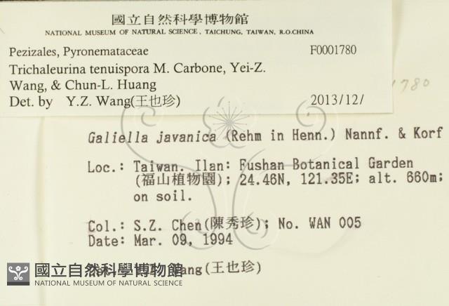 登錄號:F0001780藏品圖，第2張