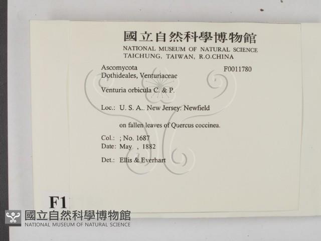 登錄號:F0011780藏品圖，第2張