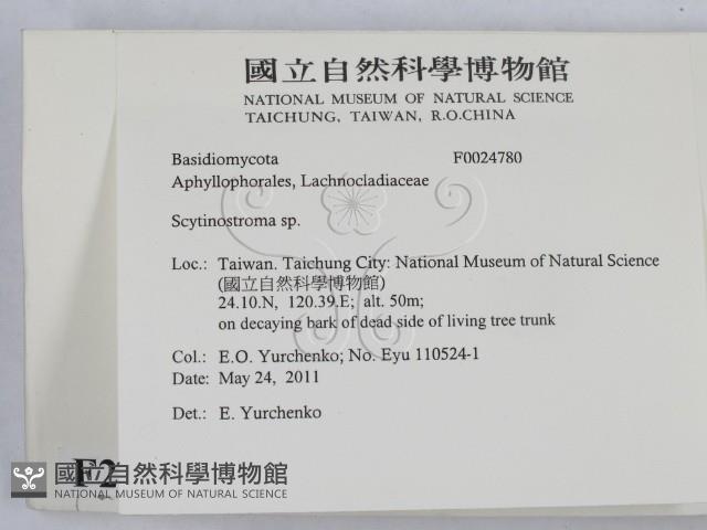 登錄號:F0024780藏品圖，第2張