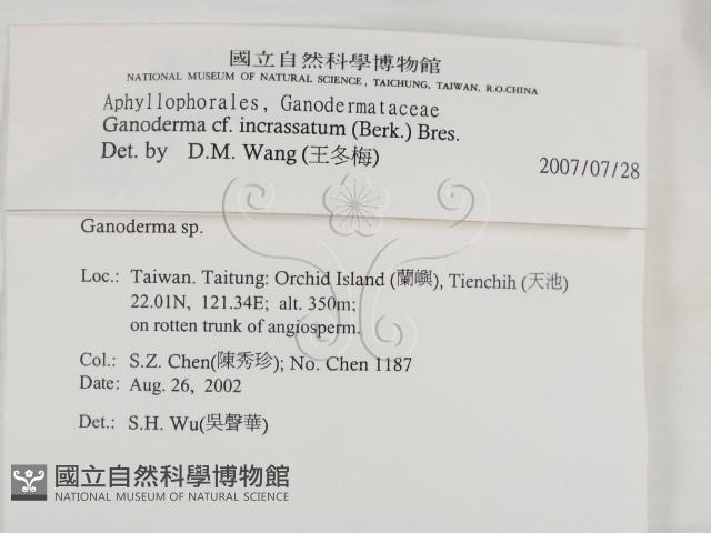 登錄號:F0014780藏品圖，第2張
