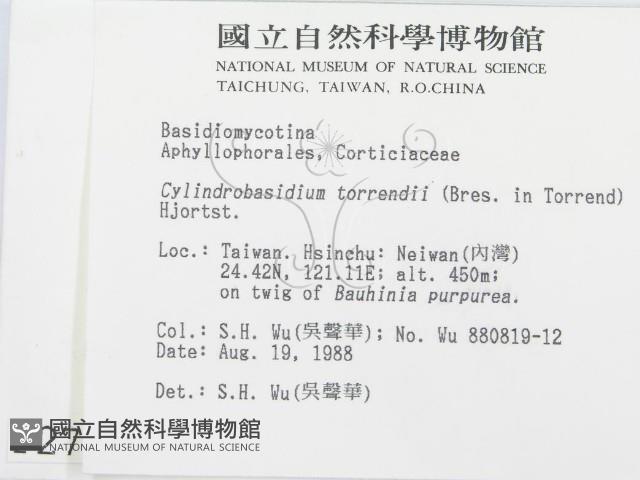 登錄號:F0002780藏品圖，第2張