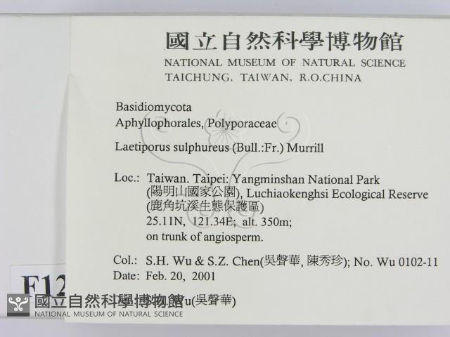 登錄號:F0012780藏品圖，第2張