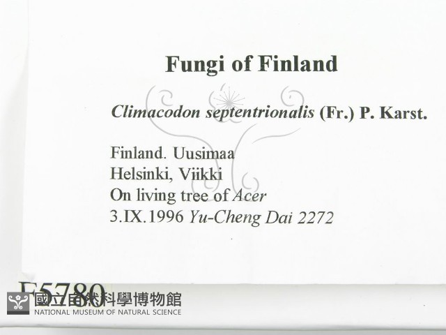 登錄號:F0005780藏品圖，第2張