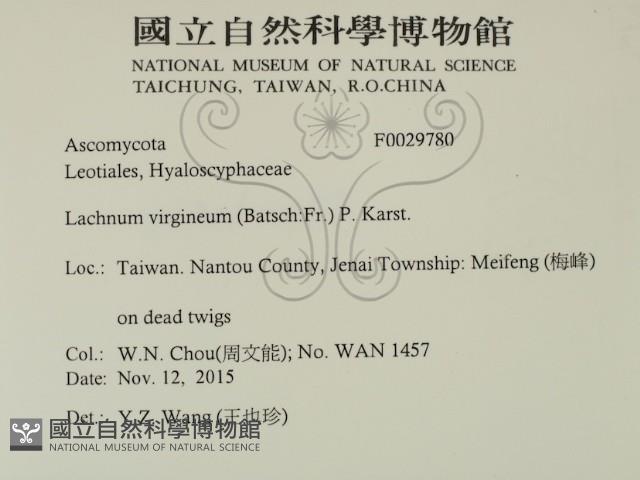 登錄號:F0029780藏品圖，第2張