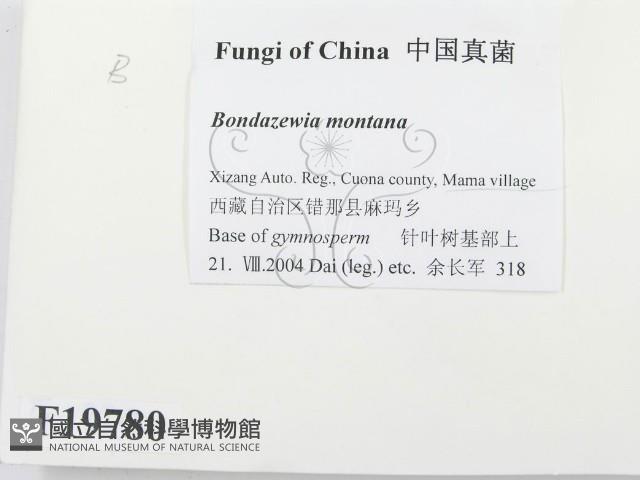 登錄號:F0019780藏品圖，第2張