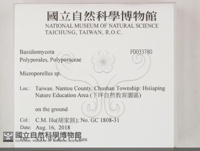 登錄號:F0033780藏品圖，第2張