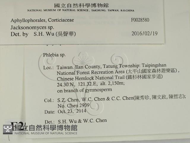 傑克菌屬藏品圖，第2張