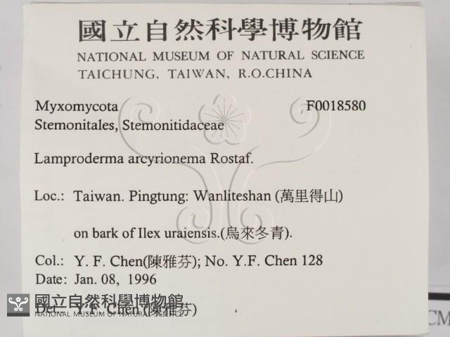 登錄號:F0018580藏品圖，第2張