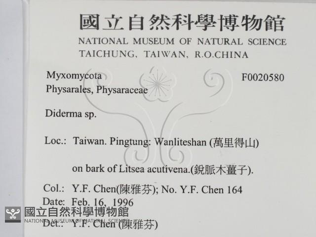 登錄號:F0020580藏品圖，第2張