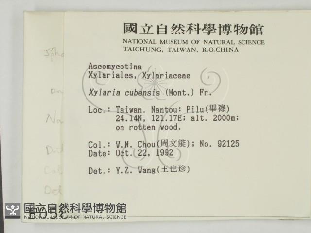 登錄號:F0000580藏品圖，第2張