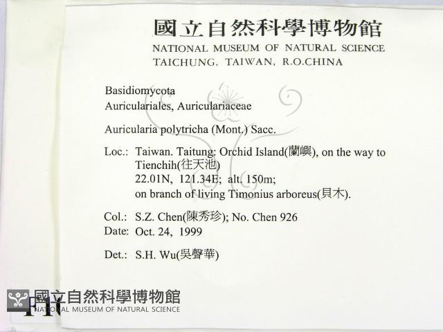 毛木耳藏品圖，第2張