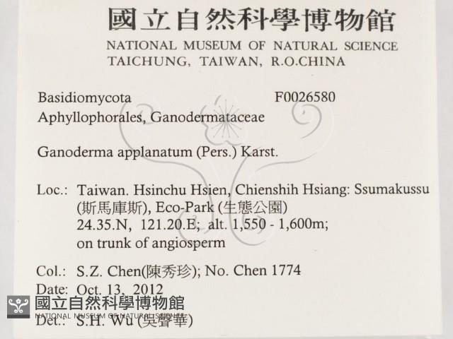 登錄號:F0026580藏品圖，第2張