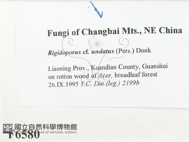 登錄號:F0006580藏品圖，第2張