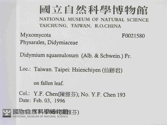 登錄號:F0021580藏品圖，第2張
