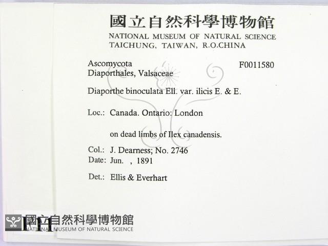 登錄號:F0011580藏品圖，第2張