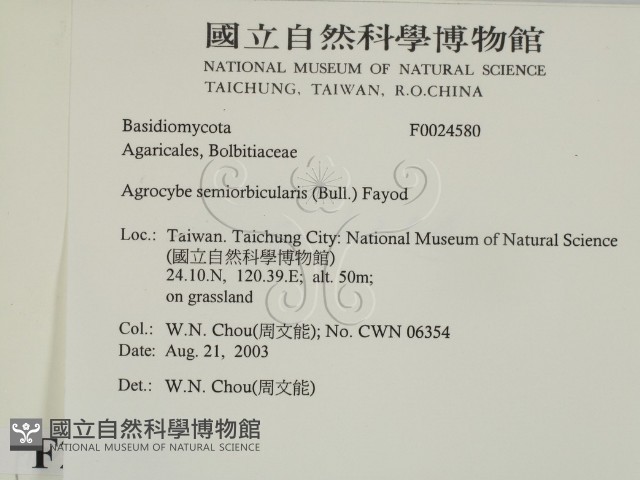登錄號:F0024580藏品圖，第2張