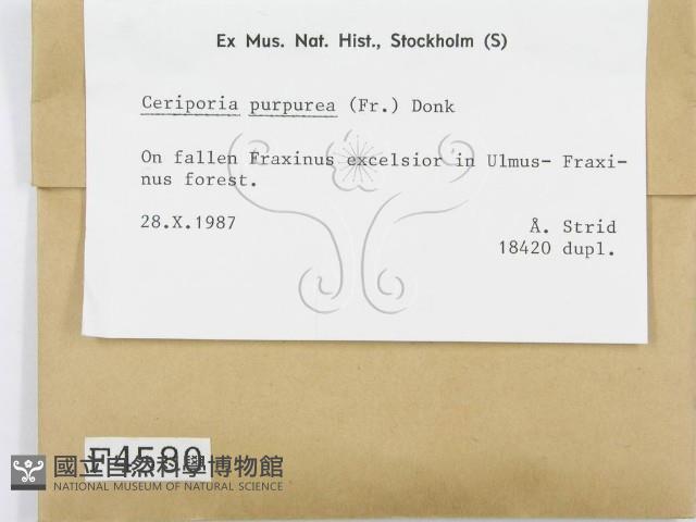 登錄號:F0004580藏品圖，第2張