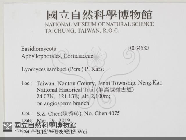 登錄號:F0034580藏品圖，第2張