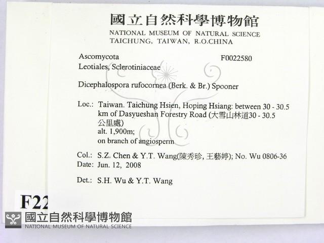 登錄號:F0022580藏品圖，第2張