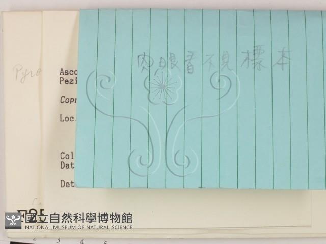 登錄號:F0002580藏品圖，第2張