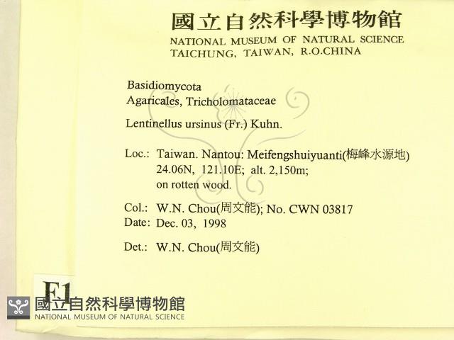 登錄號:F0012580藏品圖，第2張