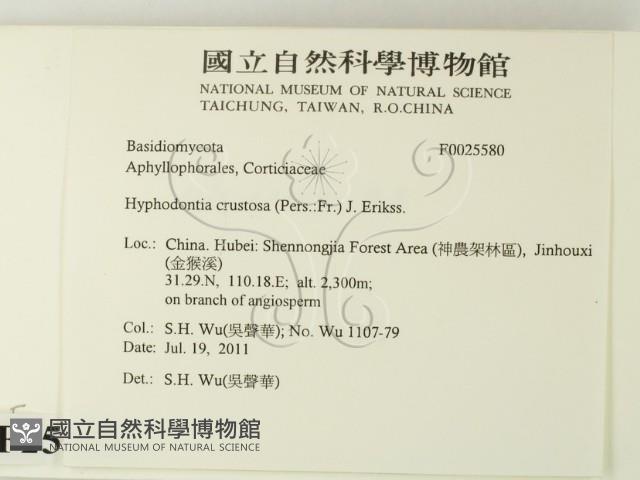 登錄號:F0025580藏品圖，第2張