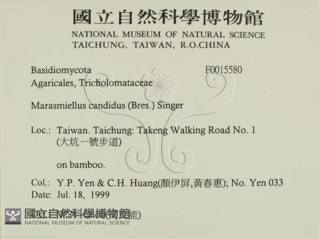 登錄號:F0015580藏品圖，第2張