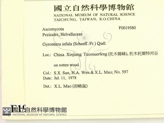登錄號:F0019580藏品圖，第2張
